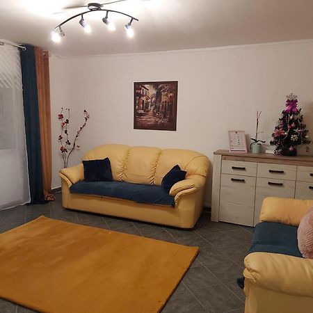 Appartement Central Lala Apartament à Braşov Extérieur photo