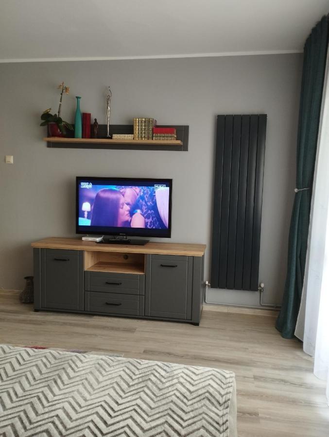 Appartement Central Lala Apartament à Braşov Extérieur photo