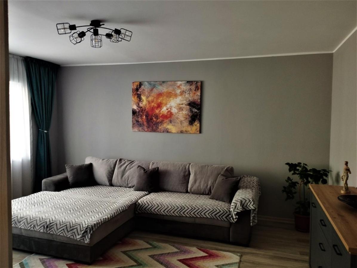 Appartement Central Lala Apartament à Braşov Extérieur photo