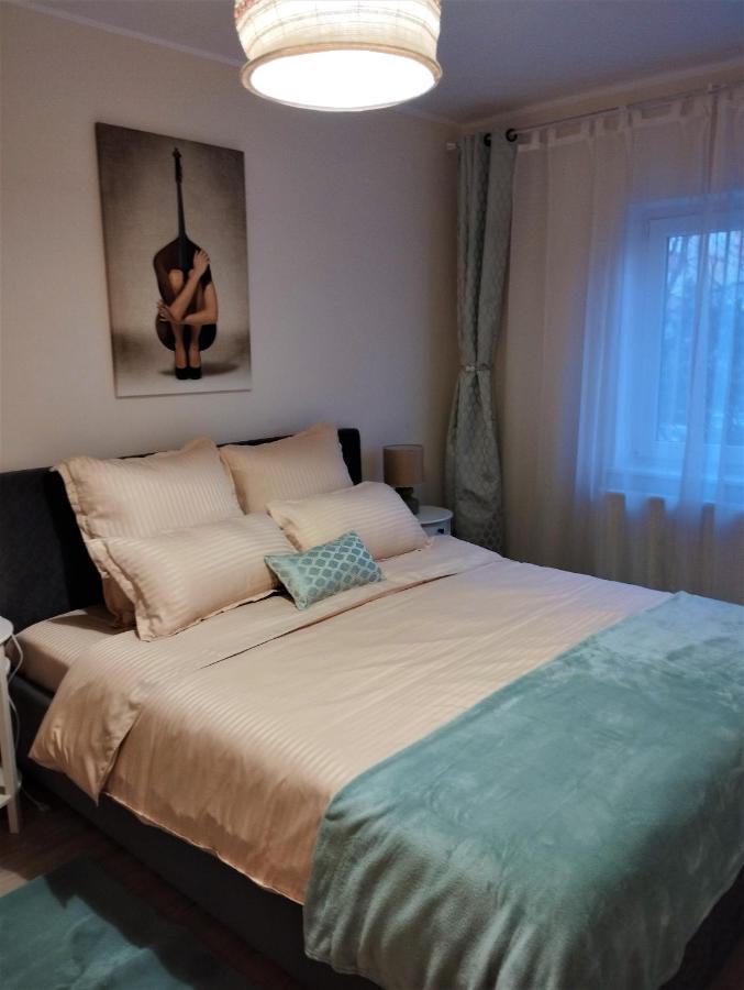 Appartement Central Lala Apartament à Braşov Extérieur photo